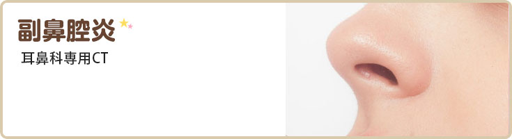 副鼻腔炎 耳鼻科専用CT